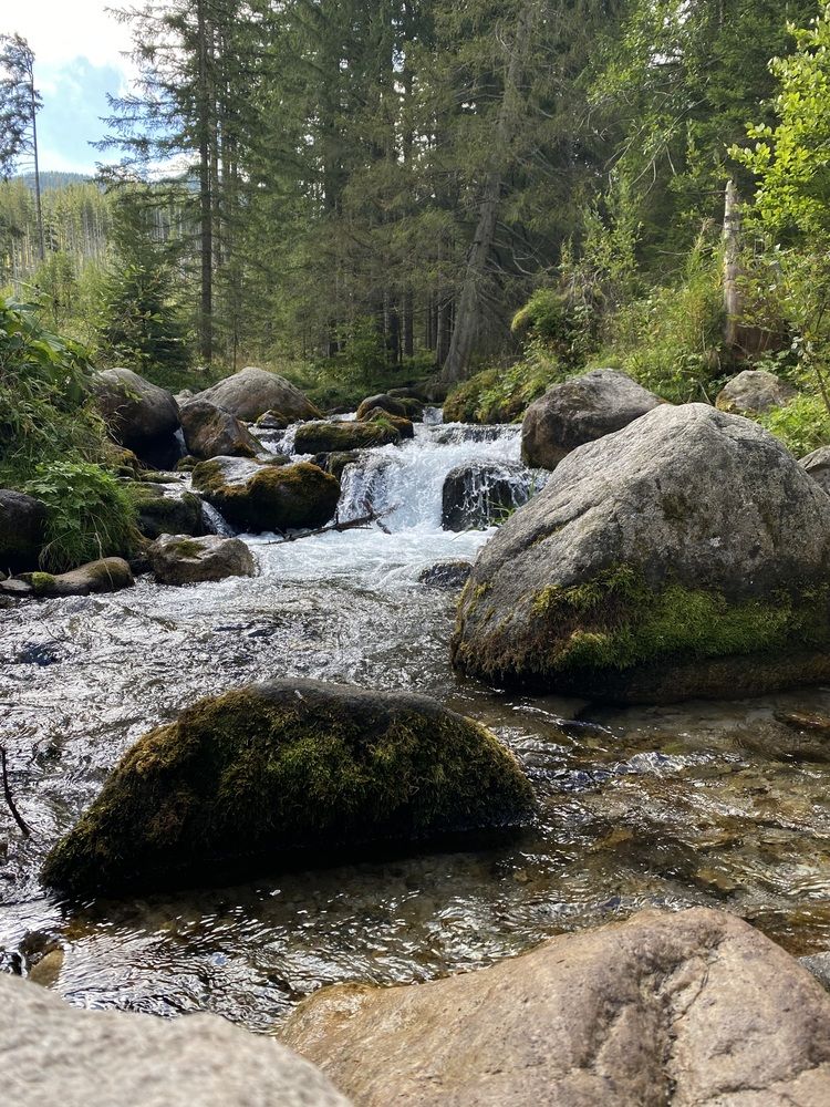 Photograph by Ольга Левенец