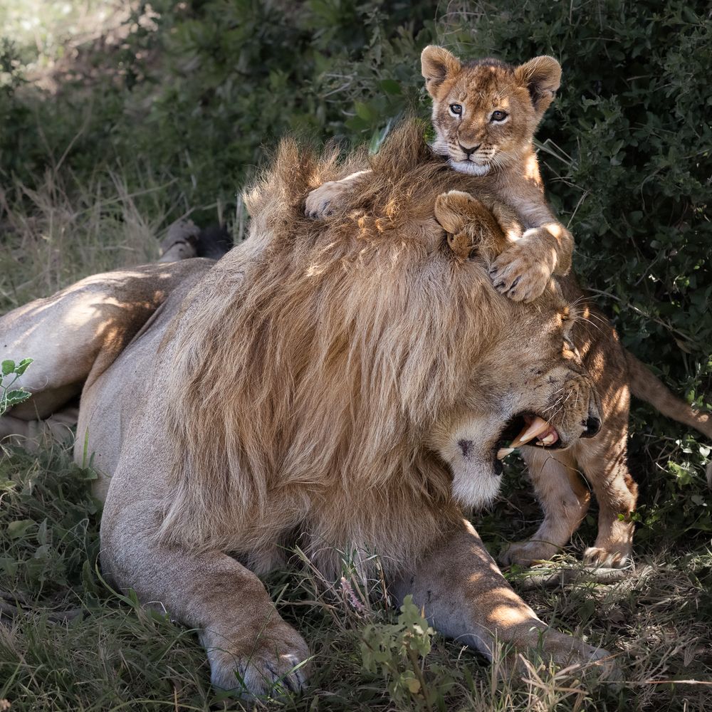 Photograph by Nikolay Slutskiy
