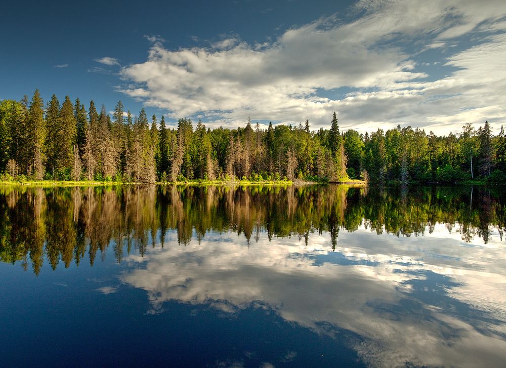Фотография автора Николай Бо