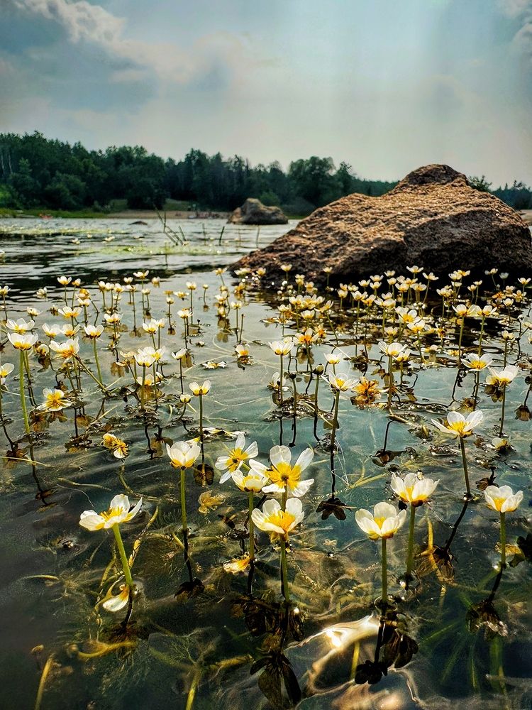 Фотография автора Юлия Порфирьева