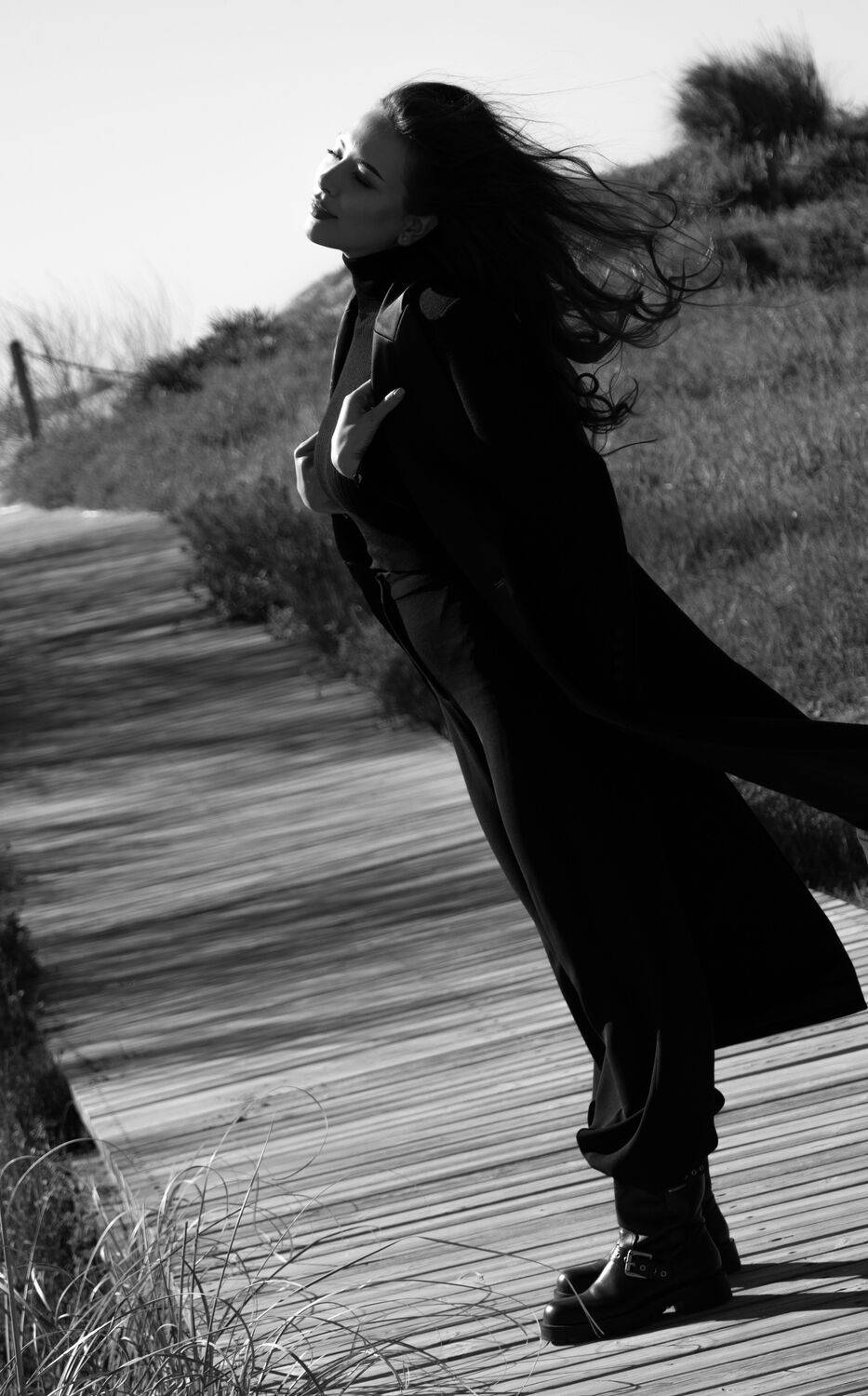Photo #13401746