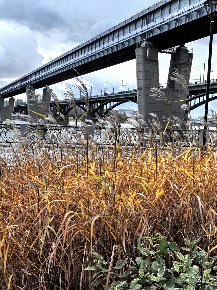 Photograph by Андрей Чернышов