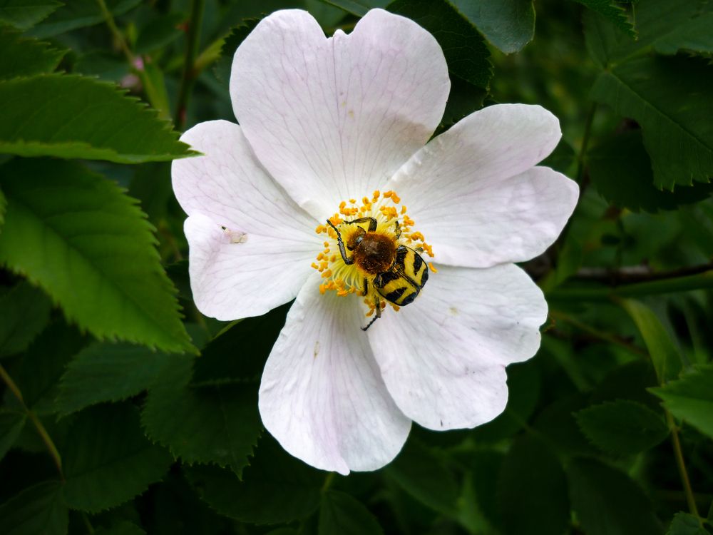 Photograph by Aндрей