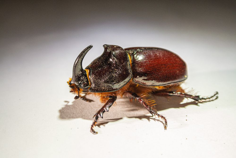 Photograph by Aндрей