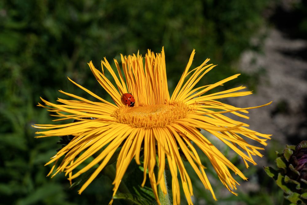 Photograph by Aндрей