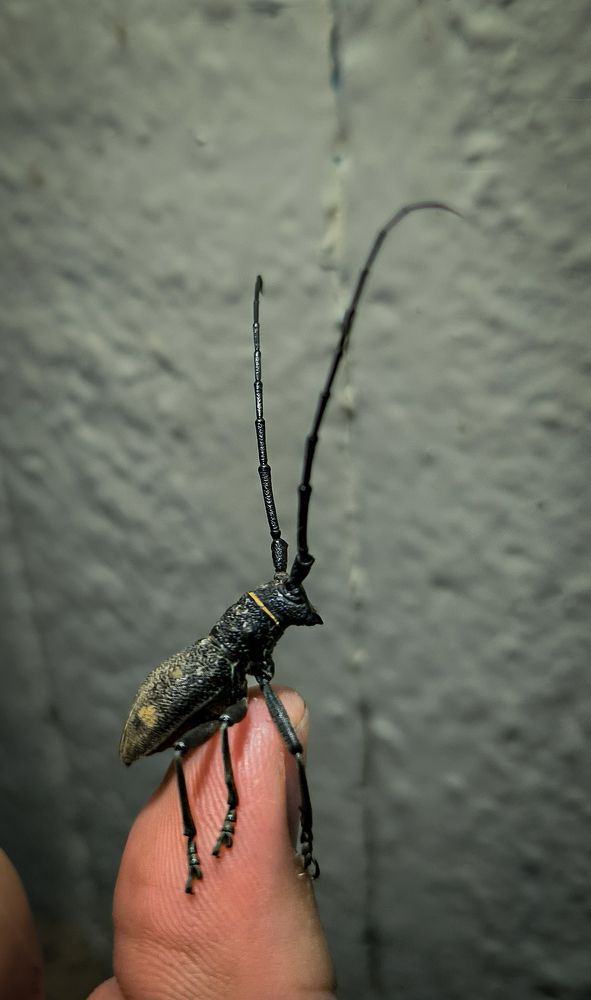 Photograph by Aндрей