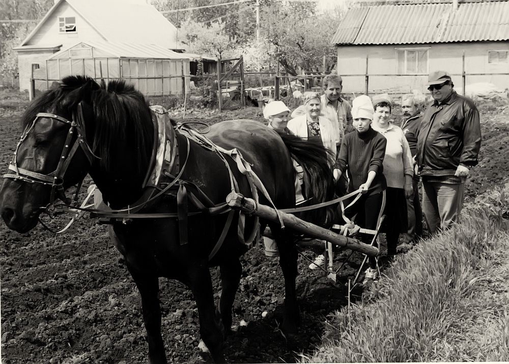 Photograph by Андрей Чуйков