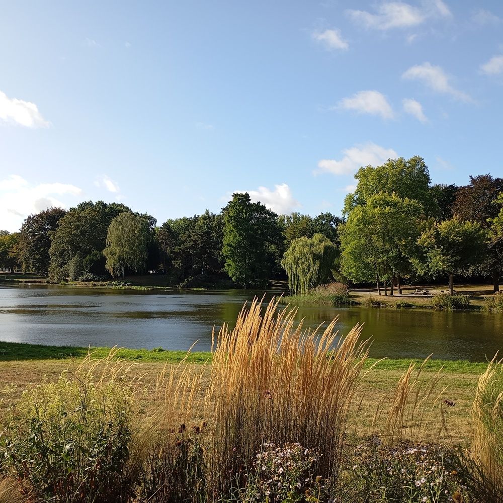 Фотография автора Виктория Усова