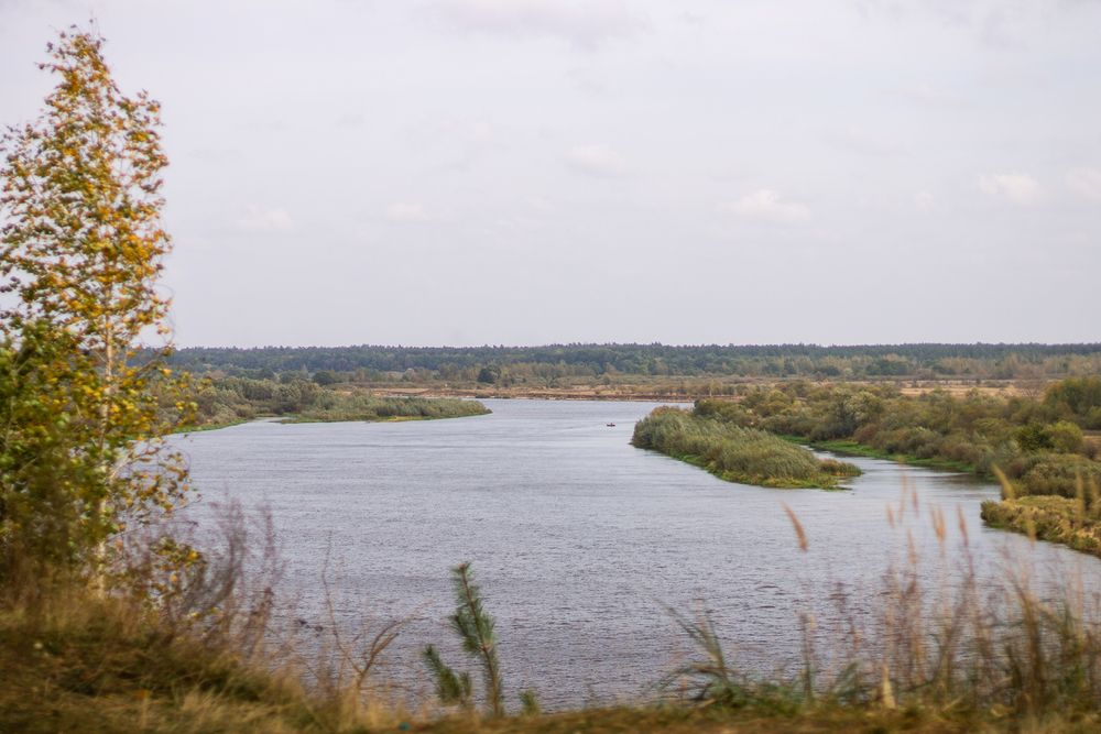 Фотография автора Алёна Подгорная