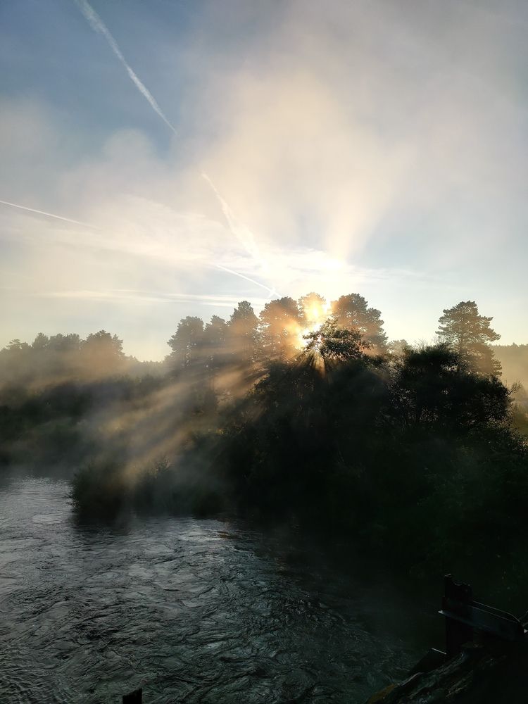 Photo #13402124
