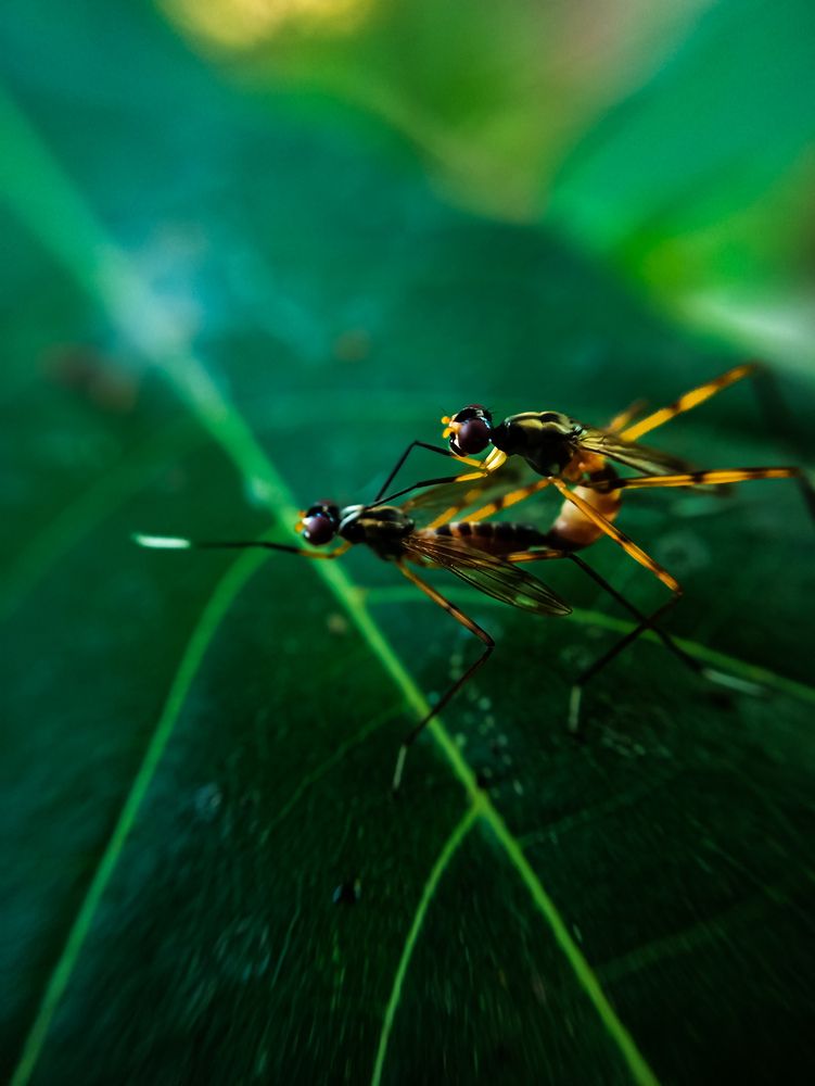 Photograph by SHRIYAKSHI
