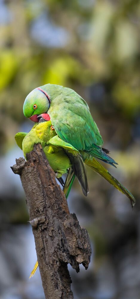 Love in fullness