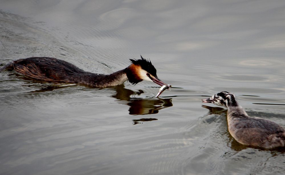 Photograph by Зоя Быкова