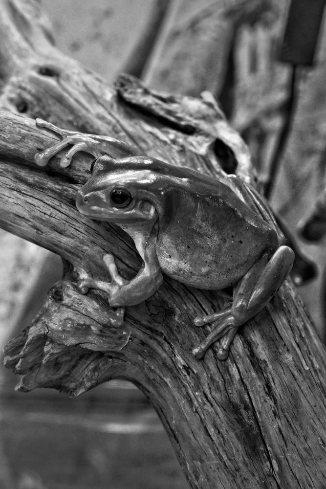 Photograph by Юлия Фёдорова
