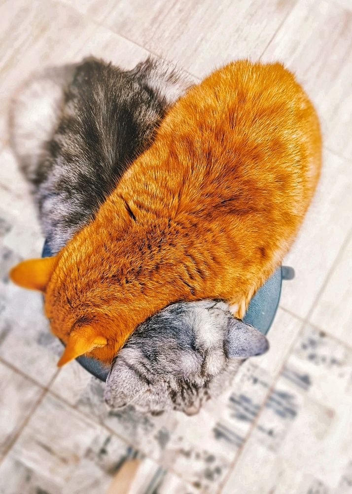 Photograph by Анна Захарчук