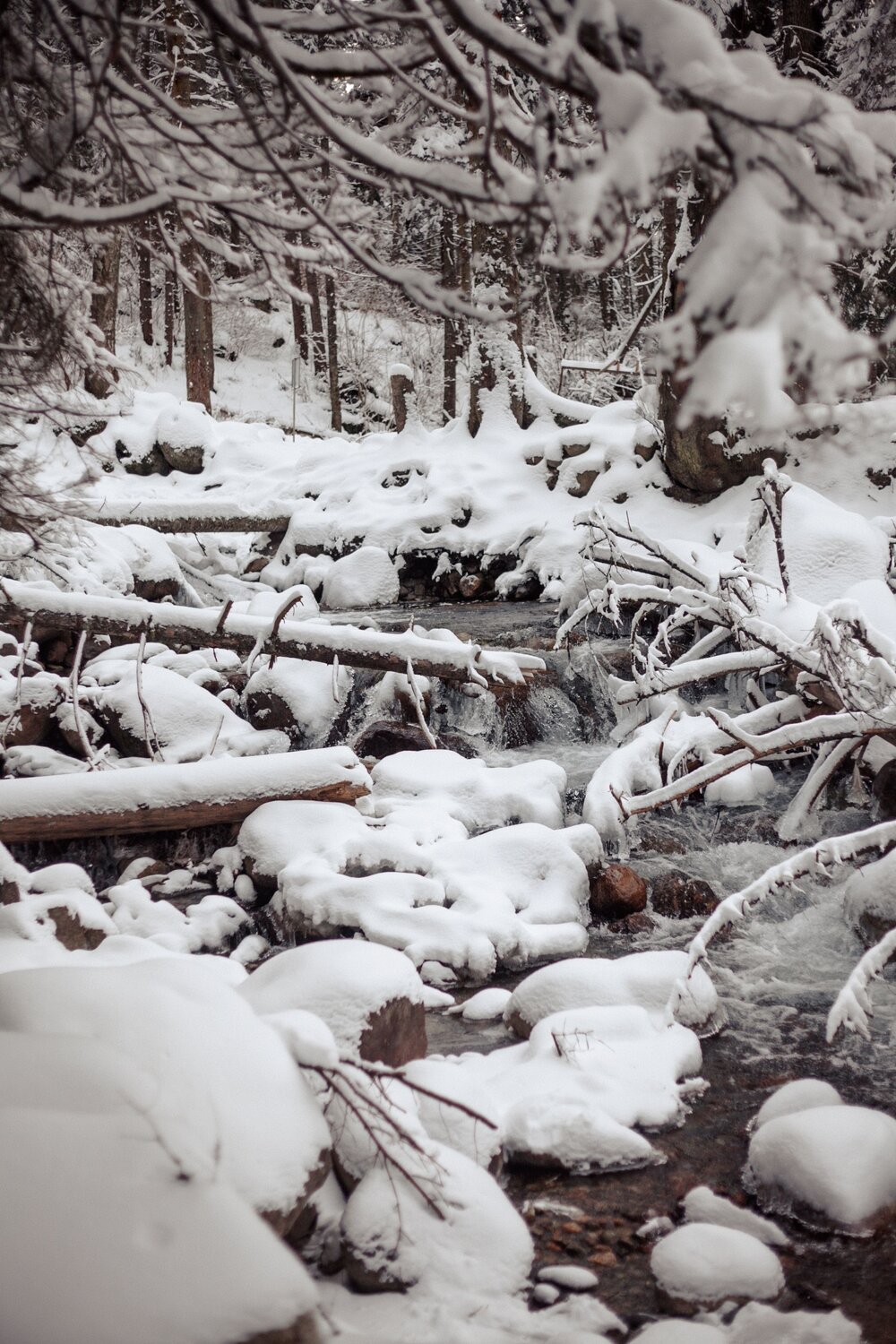 Photo #13402207