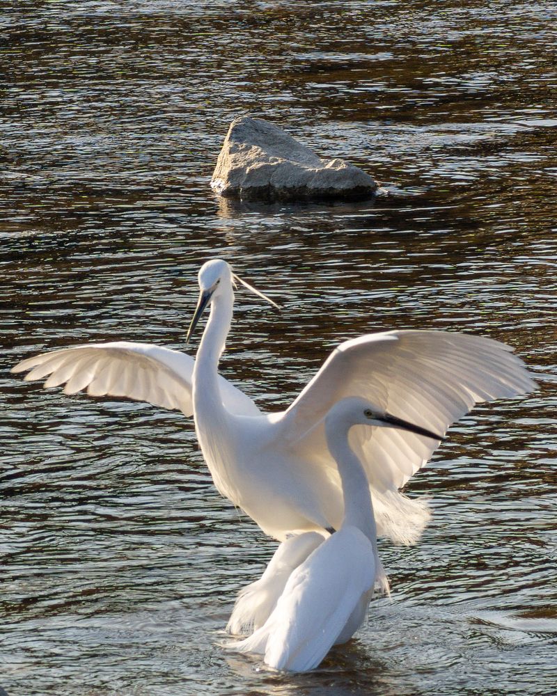 Photograph by PENG HAOSEN