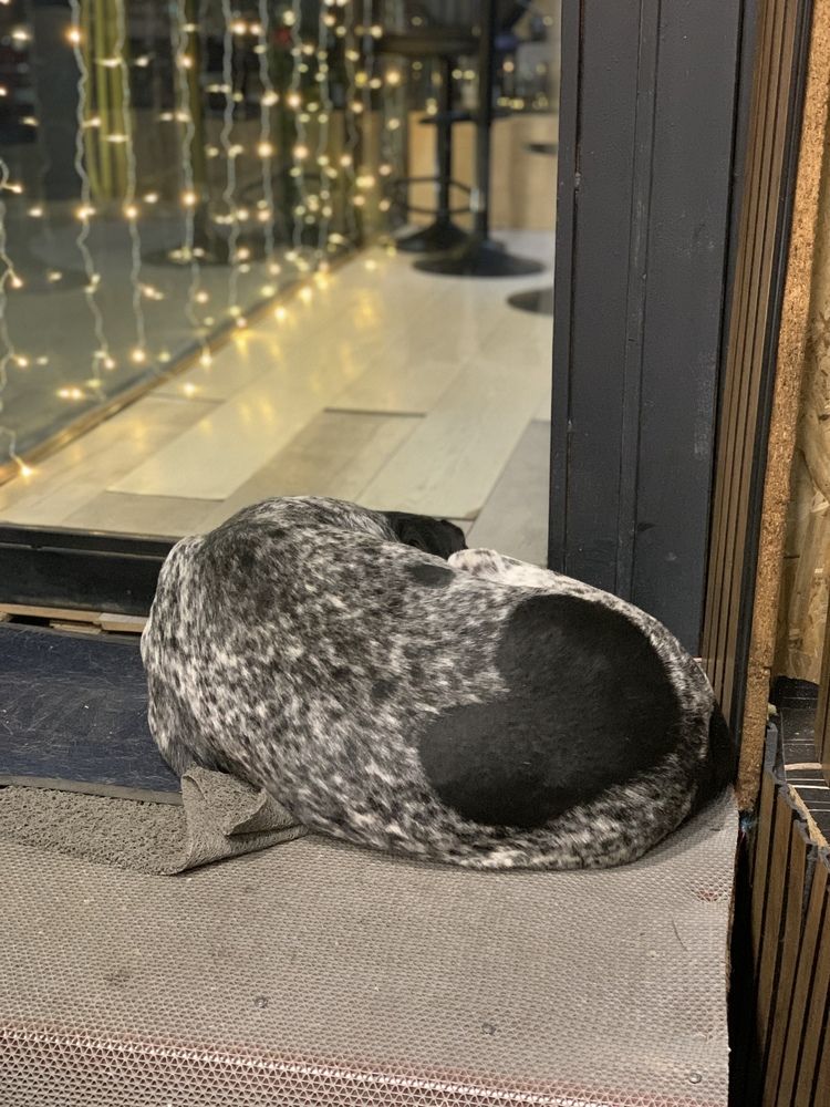 Фотография автора Anna Poponina