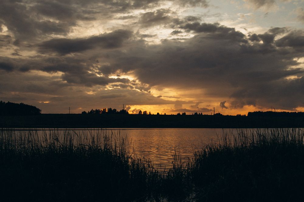 Photograph by Светлана Гундерина