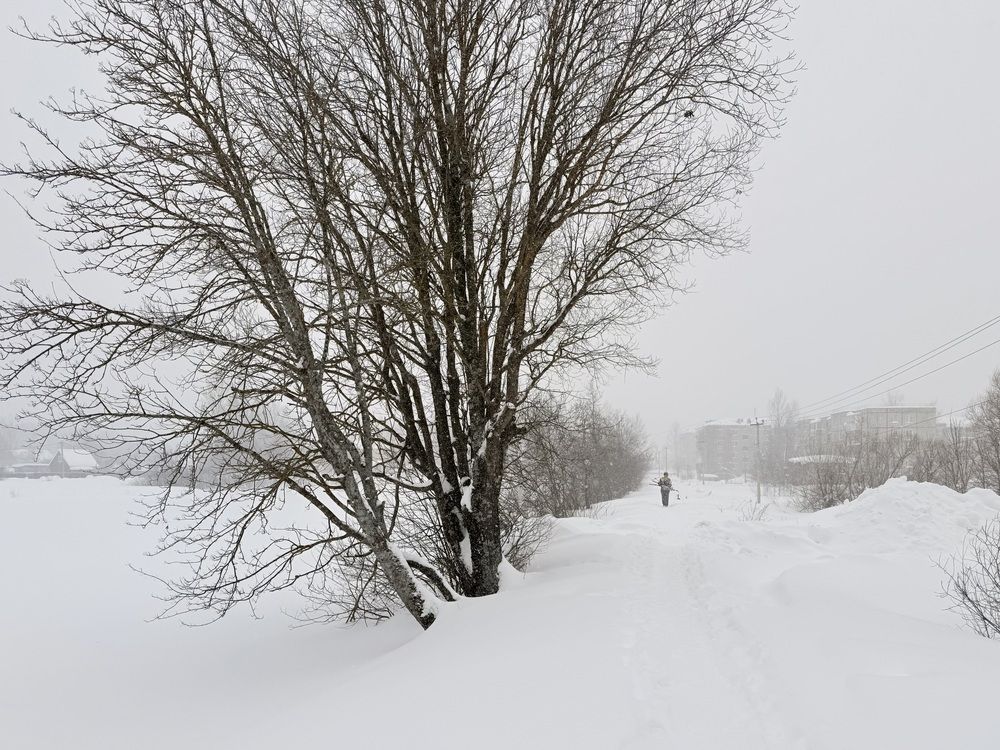 Photograph by Наталья Сережко