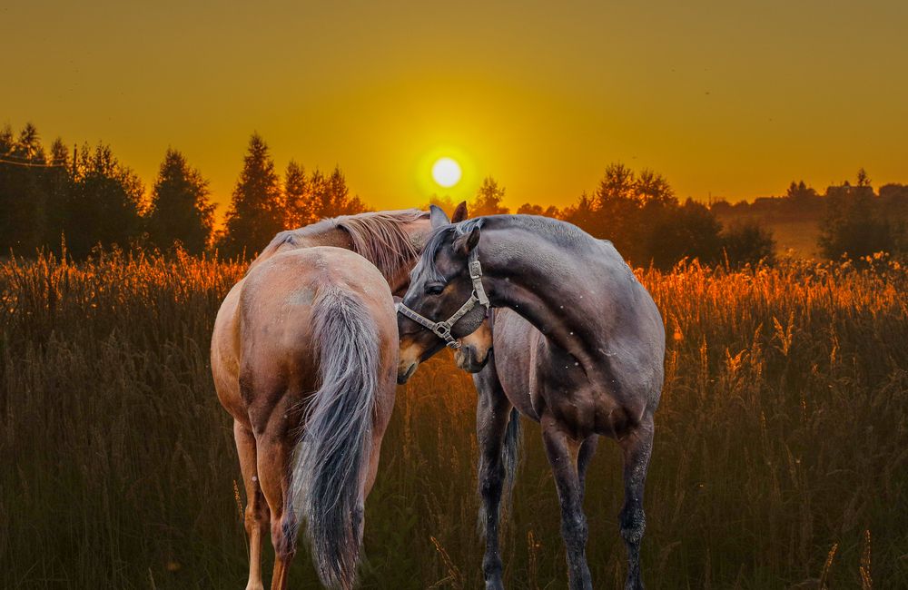 Photograph by Михаил Измайлов