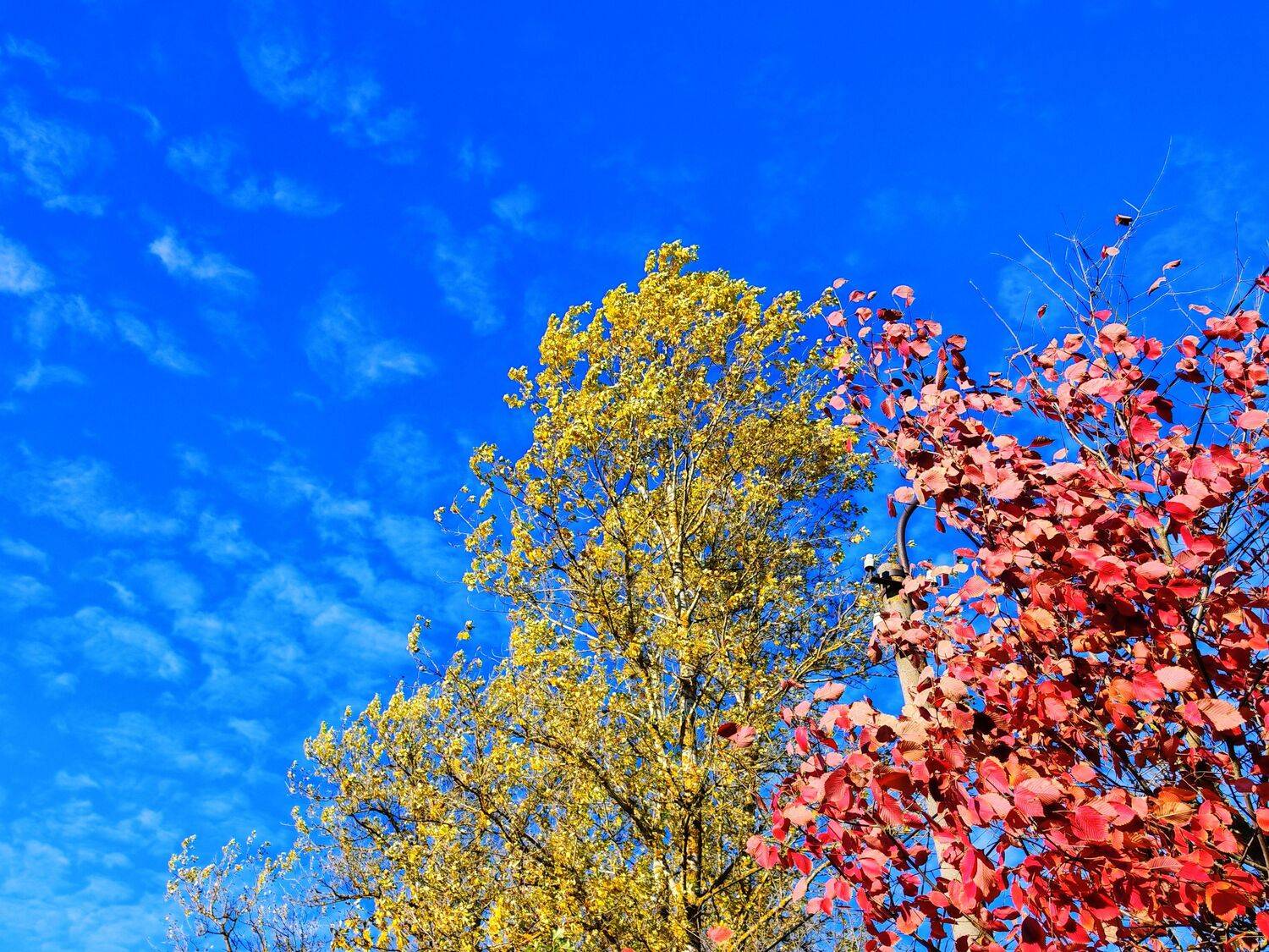 Photo #13402478