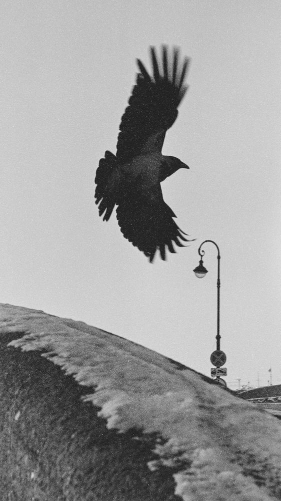 Photograph by Иван Бортяков