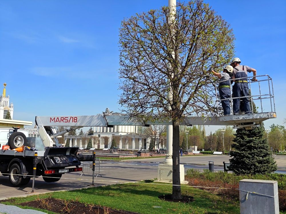 Photograph by Даниил Пузаков