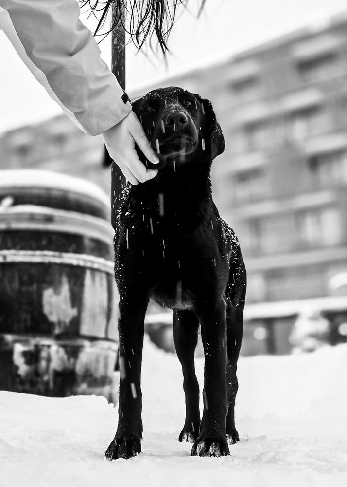 Photograph by Анастасия Алтабаева