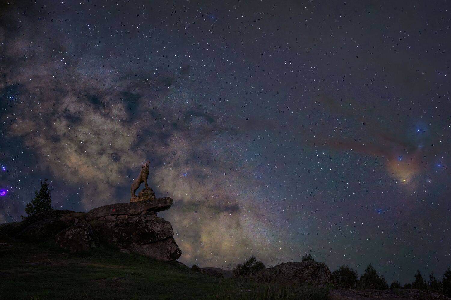 Фотография #13402540