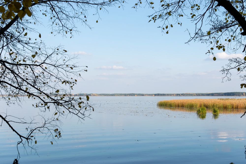 Photograph by Ирина Лапина