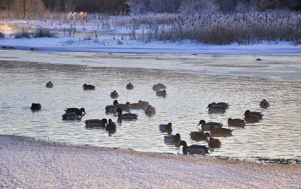 Фотография автора Андрей Куликов
