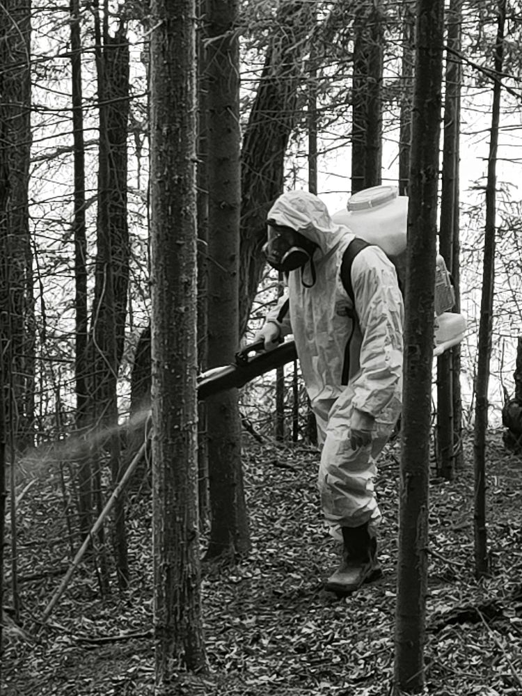 Photograph by Елена