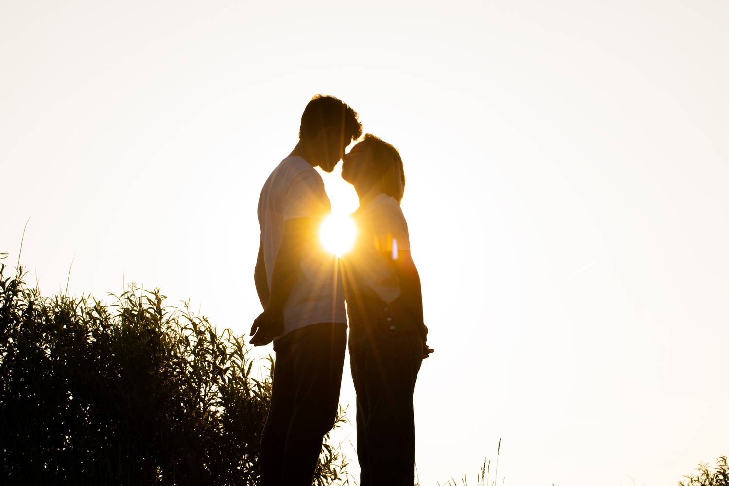 Photo #13402784