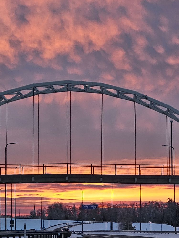 Фотография автора Elena Neprosh