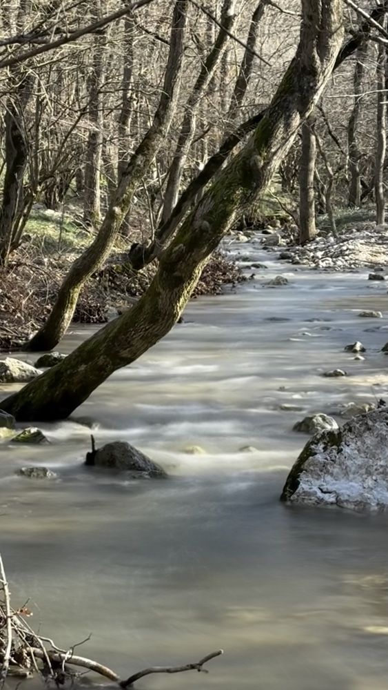 Photograph by Екатерина Игоревна