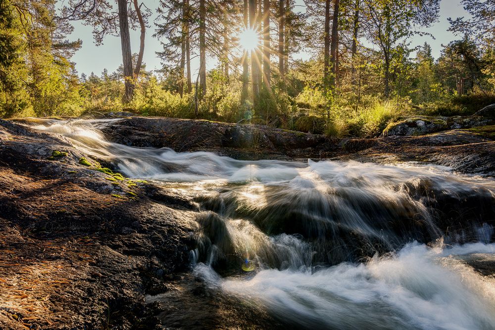 Photograph by Christiane Heggemann