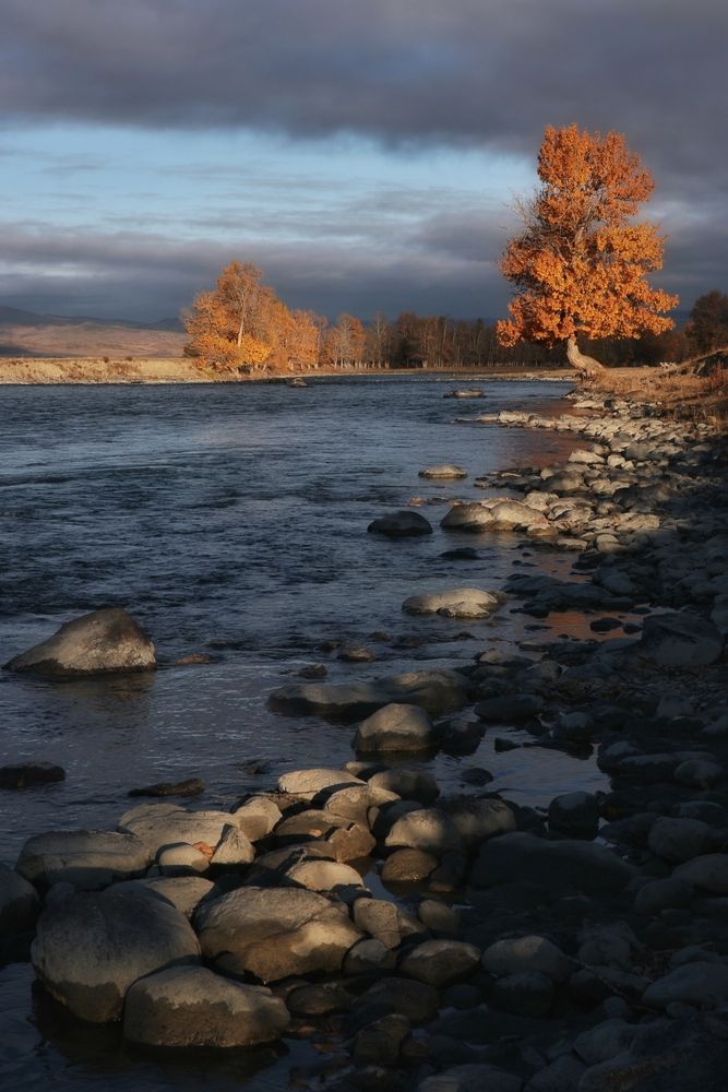 Photograph by Svetlana Zhilina