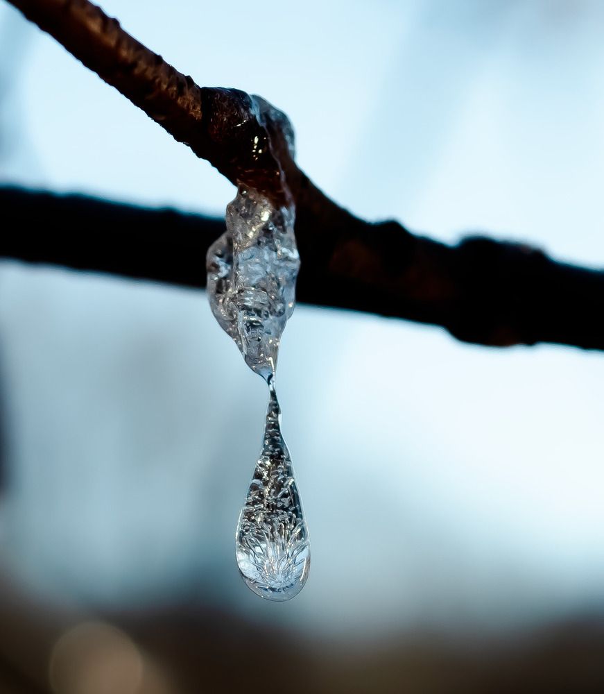 Photograph by Елена Харитонова