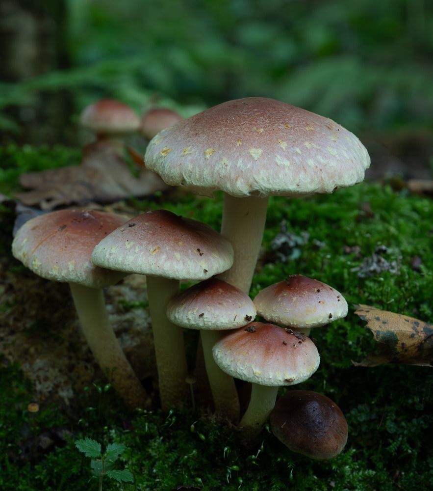 Photograph by Елена Харитонова