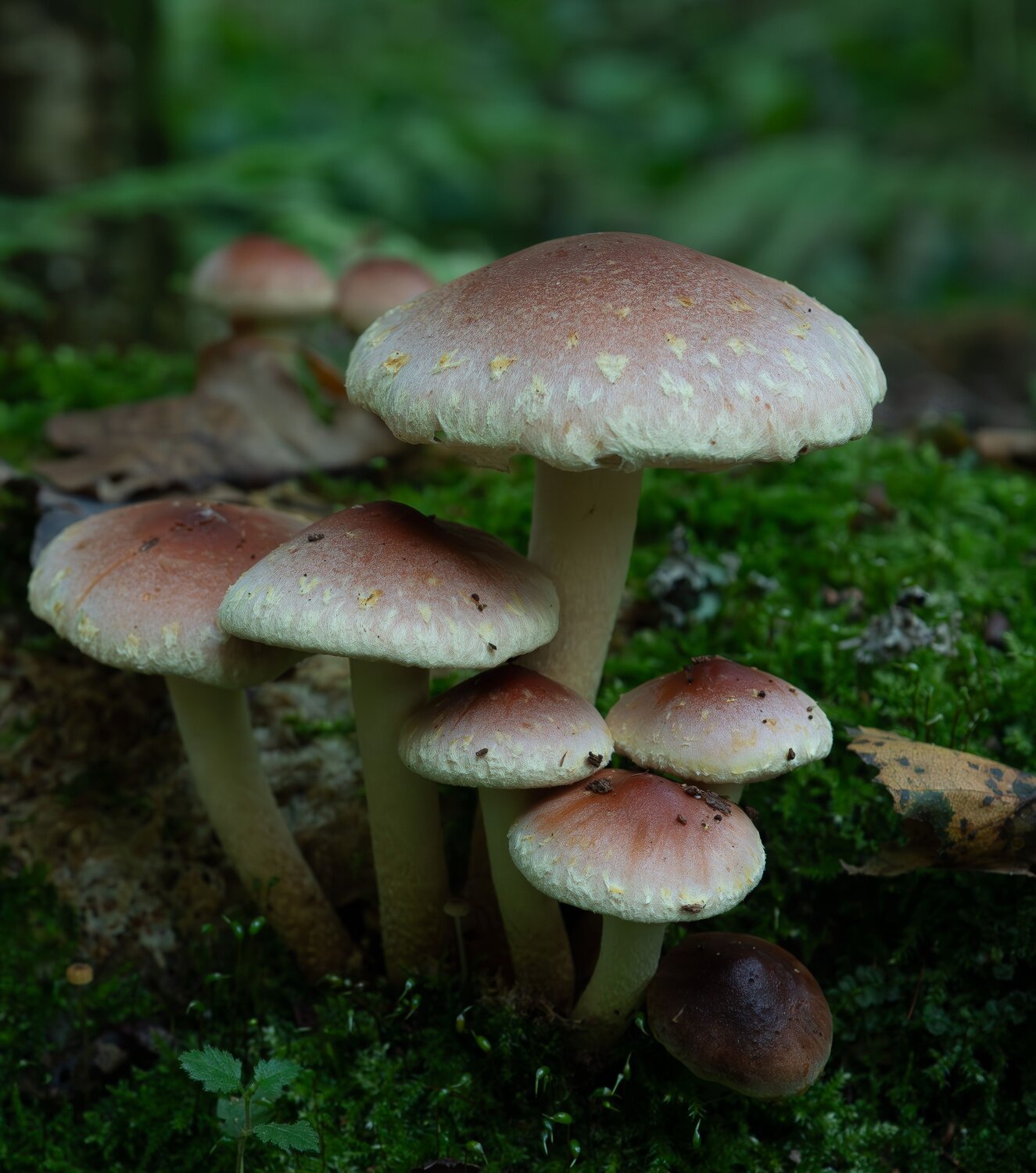 Photo #13402967