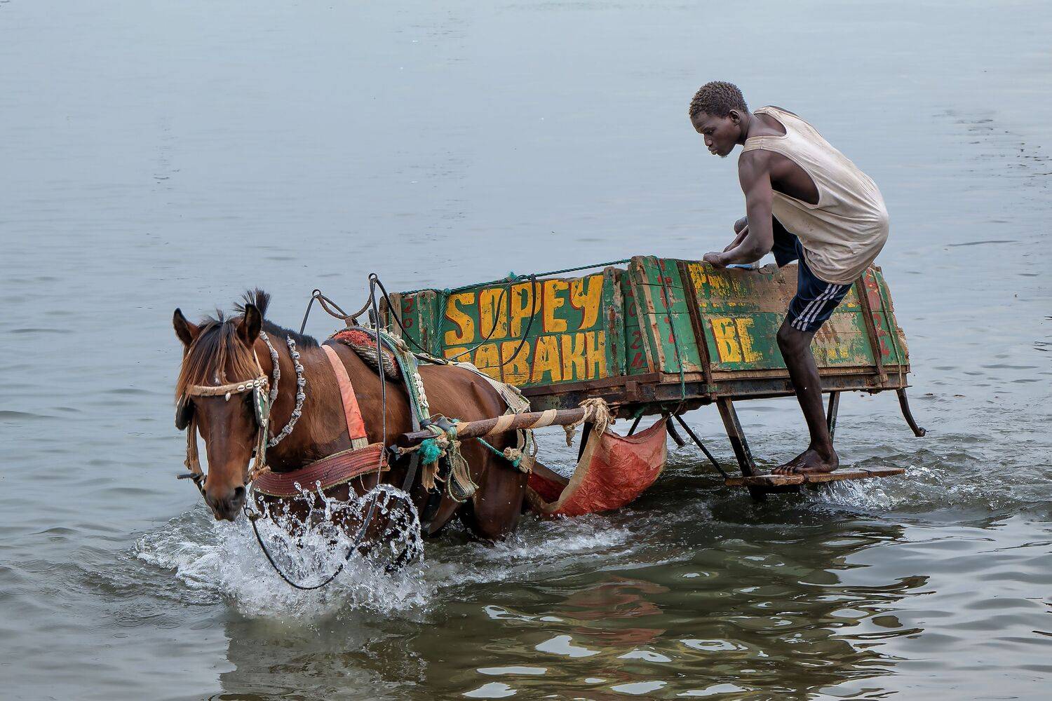 Фотография #13402973