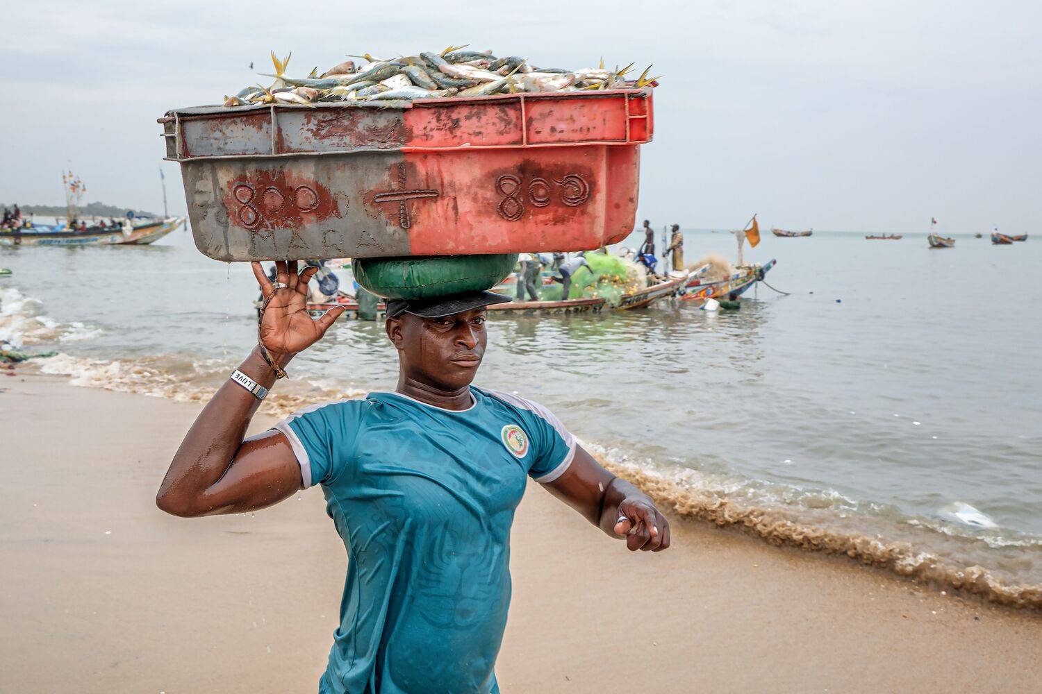 Фотография #13402975