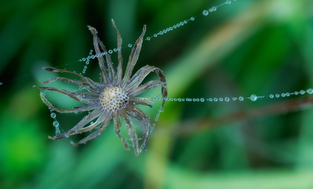Photograph by Елена Харитонова