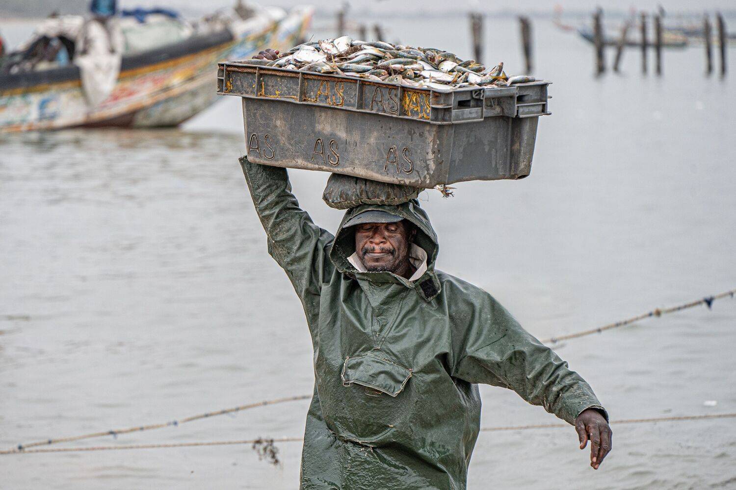 Фотография #13402987