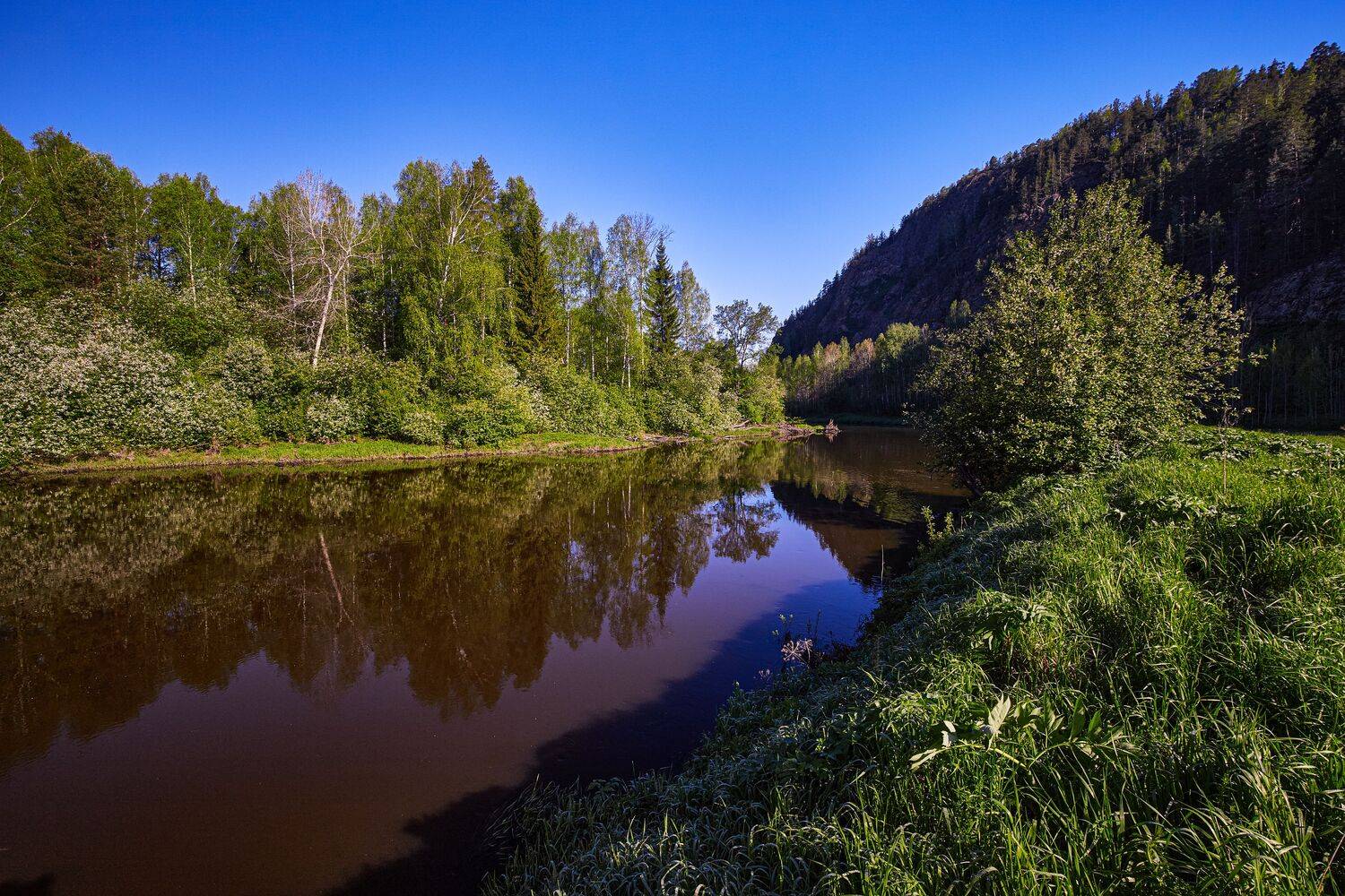 Тихим утром мая. Тихим утром мая.