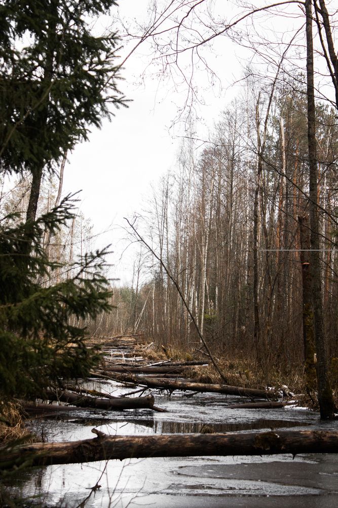 Photograph by Ника Прокопенко