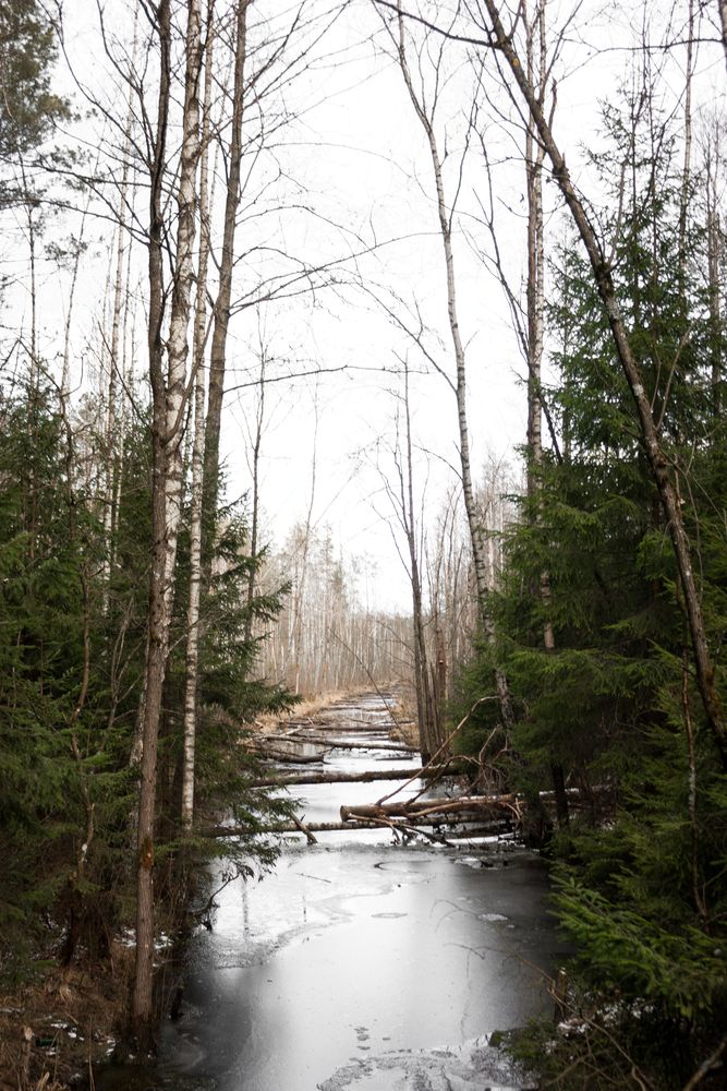 Photograph by Ника Прокопенко