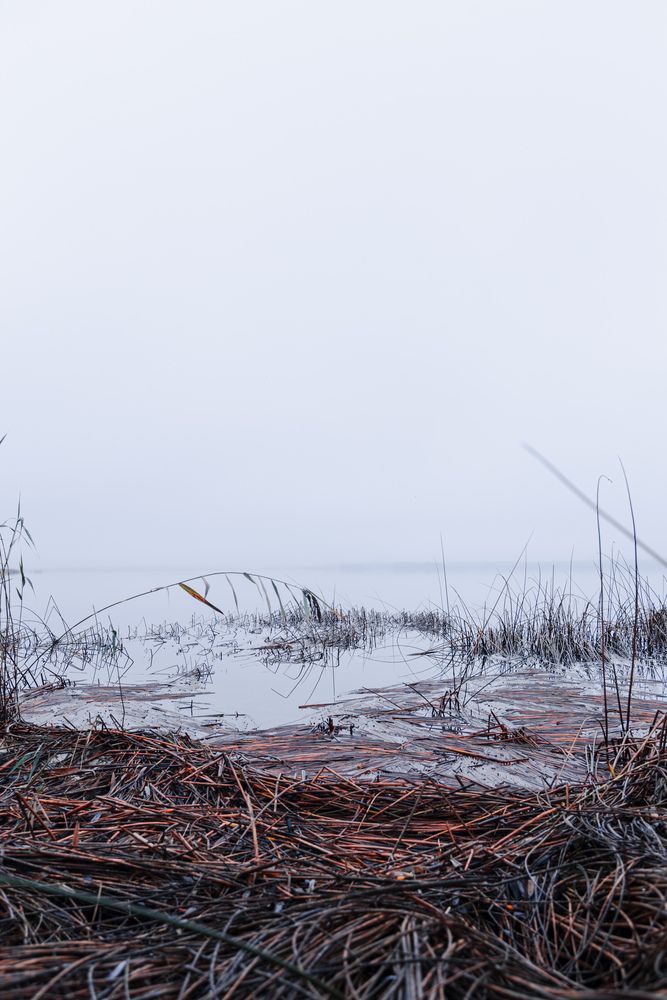 Photograph by Ника Прокопенко