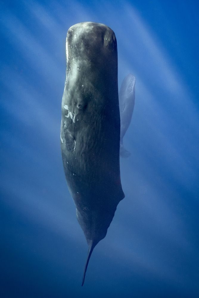 Photograph by Artem Iushin